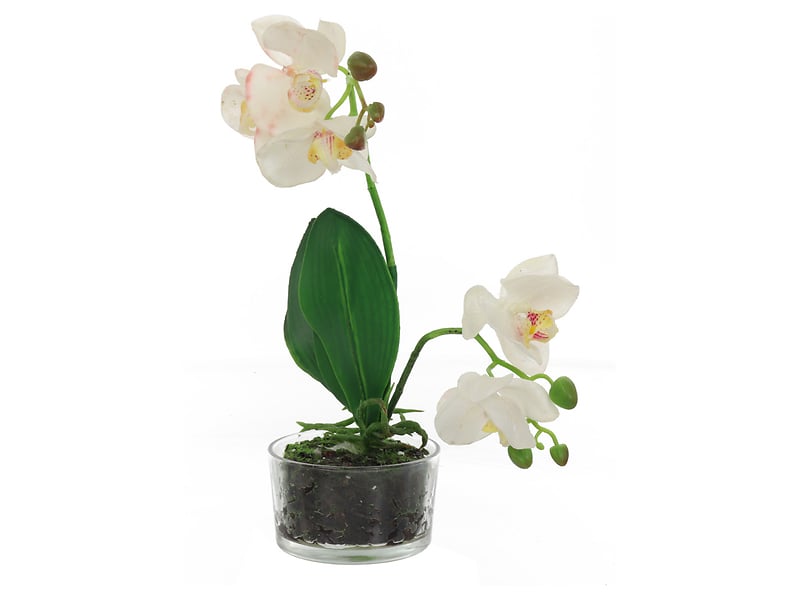 sztuczna orchidea w doniczce, 799476