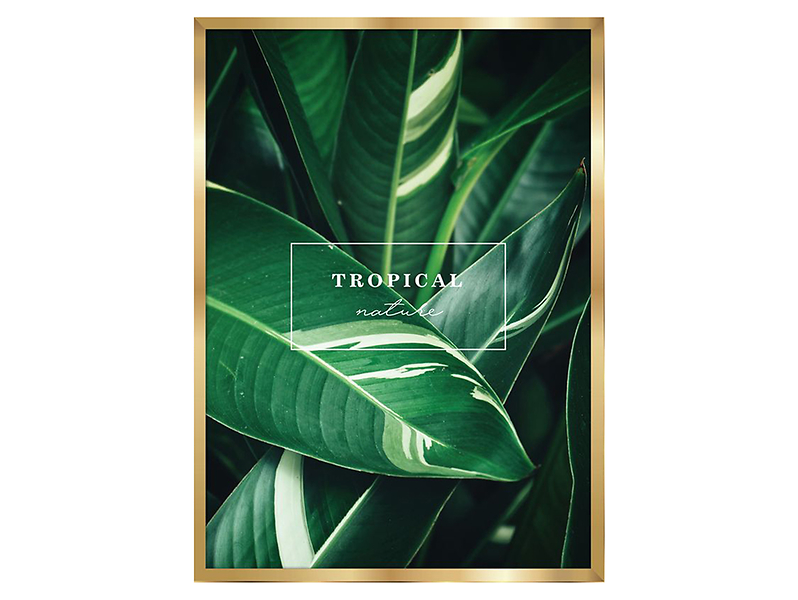 obraz Tropical Nature, 80235