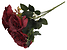 Inny kolor wybarwienia: róża bukiet czerwony