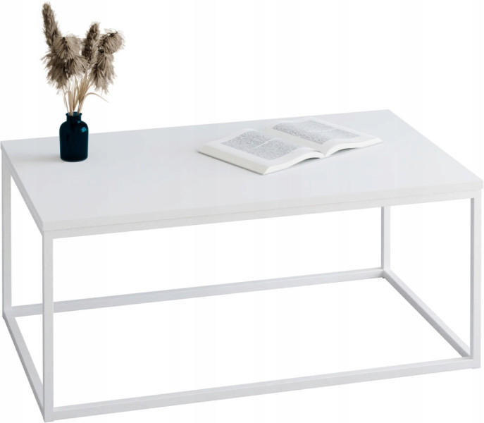 Stolik kawowy Neri 100x60 cm Loft do salonu Biały + Biały Mat, 8875007