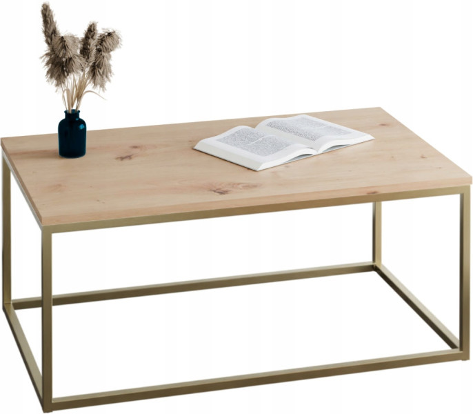 Stolik kawowy Neri 100x60 cm Loft do salonu Złoty + Dąb Artisan, 8875439