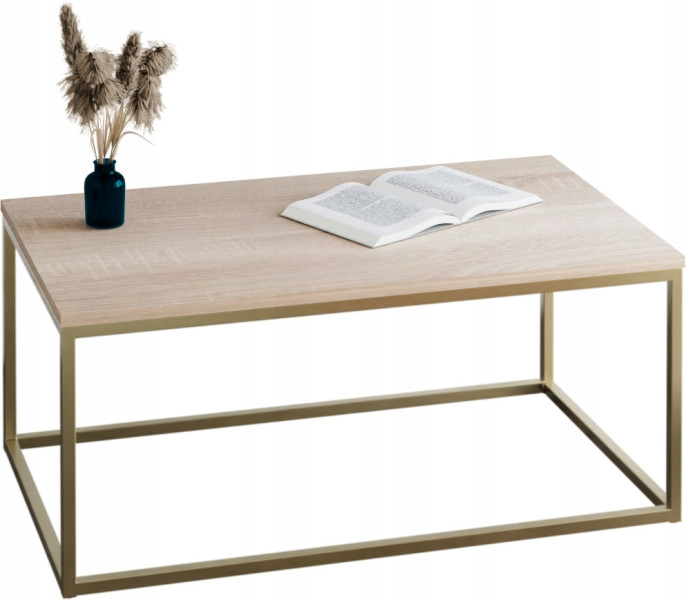 Stolik kawowy Neri 100x60 cm Loft do salonu Złoty + Dąb Sonoma, 8875511