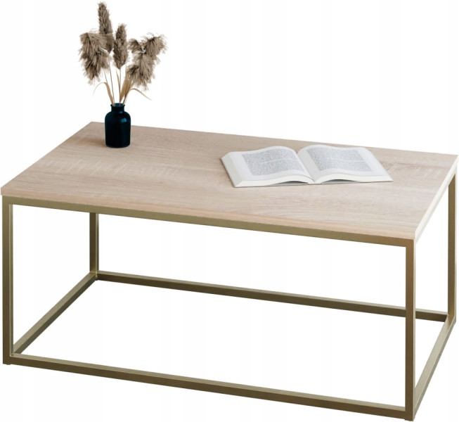 Stolik kawowy Neri 100x60 cm Loft do salonu Złoty + Dąb Sonoma, 8875515