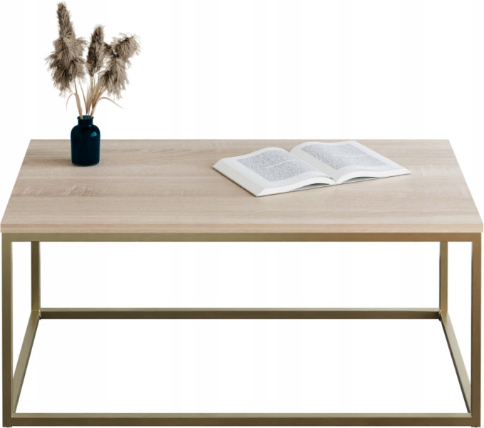 Stolik kawowy Neri 100x60 cm Loft do salonu Złoty + Dąb Sonoma, 8875516