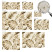 Tapety flizelinowe Egzotyczna flora 250x250 Wallfluent, 8958530