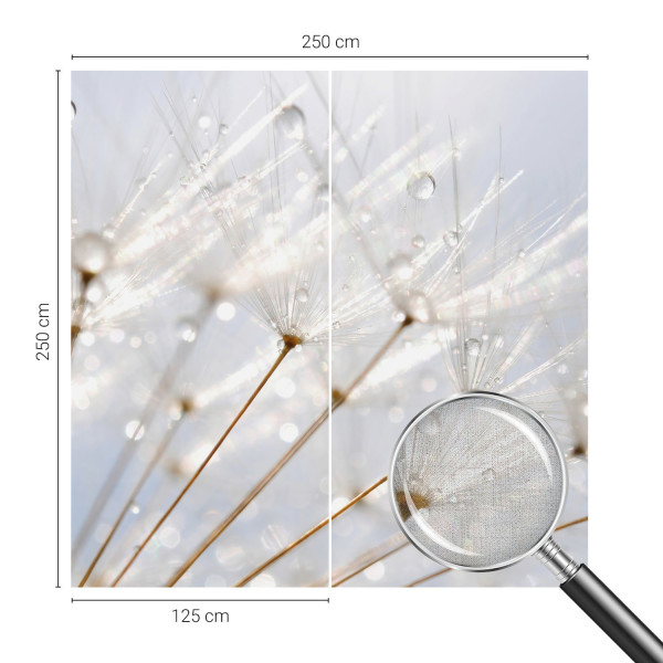 Fototapeta samoprzylepna Rosy dmuchawiec 250x250 Tulup, 9078338