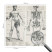 Tapety ścienne samoprzylepne Klasyczna anatomia 250x250 Wallfluent, 9135763