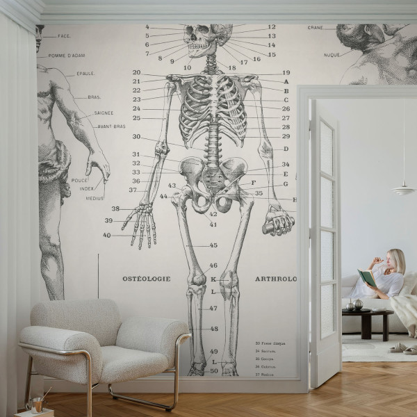 Tapety ścienne samoprzylepne Klasyczna anatomia 208x146 Wallfluent, 9181948