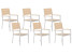 Produkt: Zestaw ogrodowy 6 krzeseł aluminium beżowe