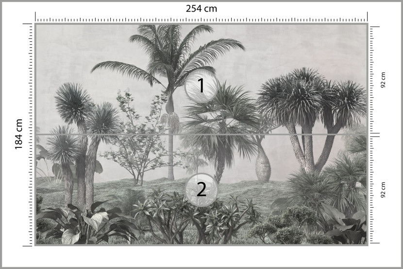 Fototapeta Ścienna Tropikalne DRZEWA Las Natura 254x184cm, 946452