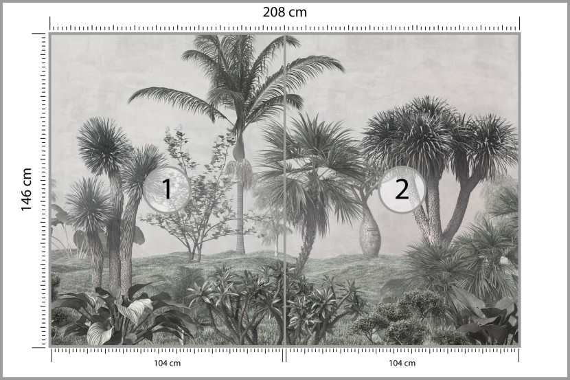 Fototapeta Ścienna Tropikalne DRZEWA Las Natura 208x146cm, 946781