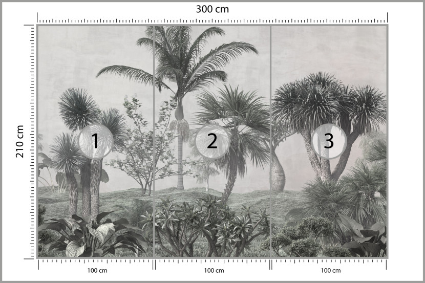 Fototapeta Ścienna Tropikalne DRZEWA Las Natura 300x210cm, 946971