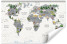 Inny kolor wybarwienia: Fototapeta Mapa świata dla dzieci po angielsku 300x210cm