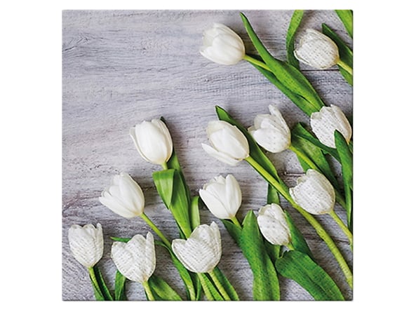serwetki 20szt. White Tulips, 95393