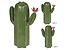 Produkt: Kaktus